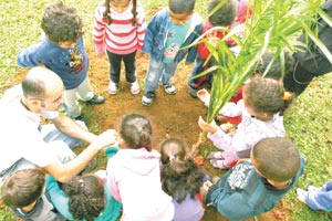 Alunos de Emei plantam árvores no Pelezão