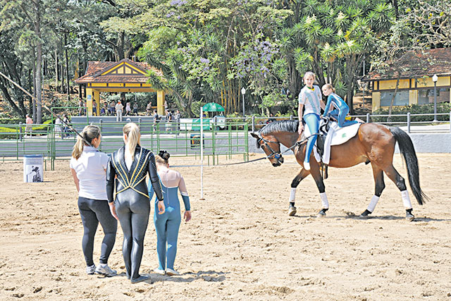 Exposição reúne várias raças de cavalos em parque