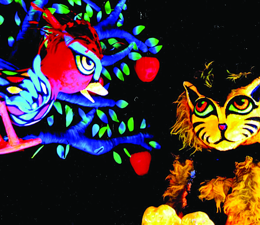 Teatro J.Safra apresenta espetáculo Carnaval dos Animais