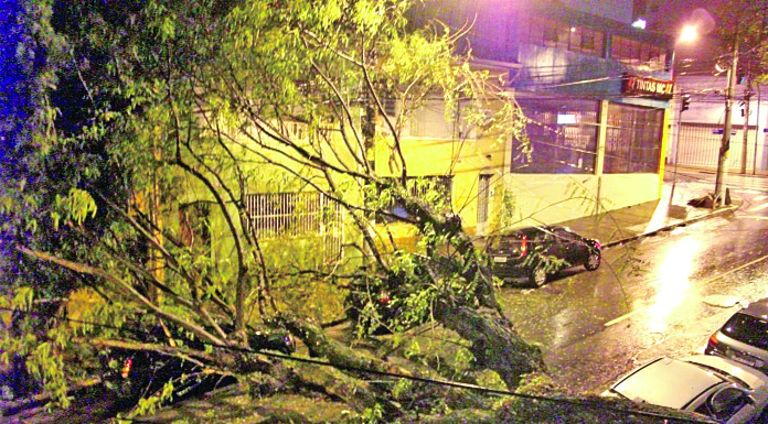 Árvore cai sobre três  veículos na Vila Romana