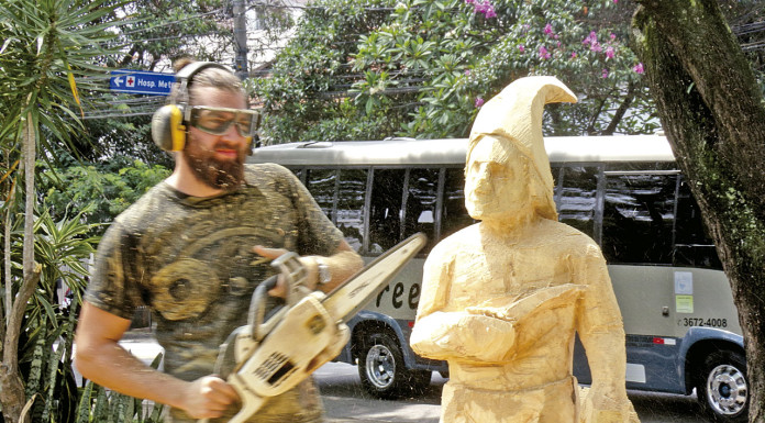 Artista faz escultura em praça com tronco de arvore tombada