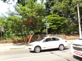 Retirada de grade da praça  surpreende líder comunitária