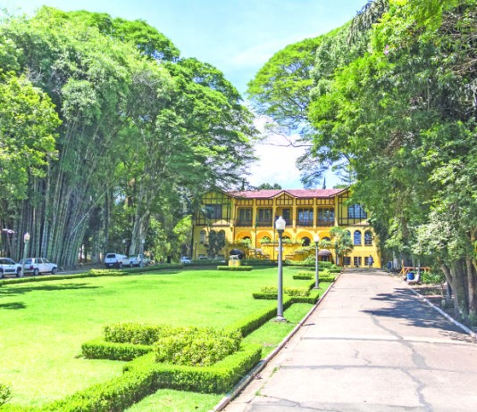 Secretaria incentiva Economia Criativa em evento no Parque da Água Branca