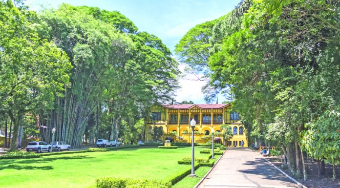 Secretaria incentiva Economia Criativa em evento no Parque da Água Branca