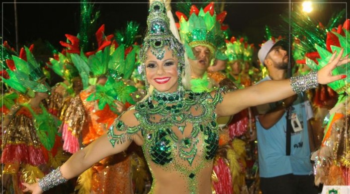 Campeã do Grupo de Acesso,  Mancha Verde volta para o Especial