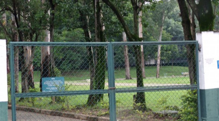 Manifestação por reabertura de parque começa em frente ao portão da Marginal Tietê
