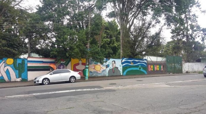 Divulgação
