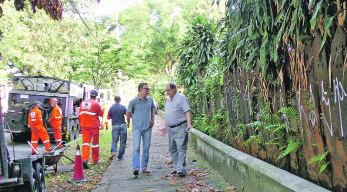 Maria Isabel Coelho