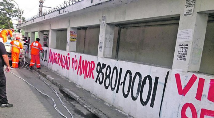 Divulgação