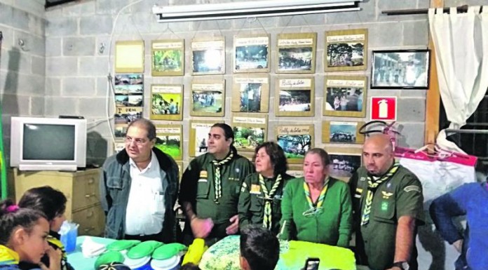 Divulgação