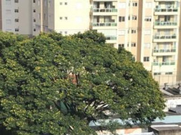 Reprodução Facebook