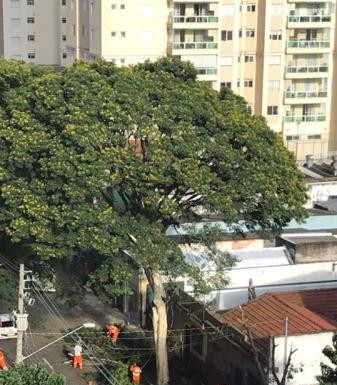 Reprodução Facebook