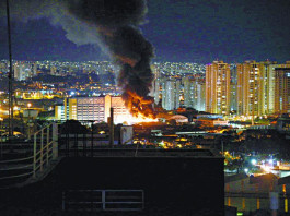 Paula Gonçalves Silva