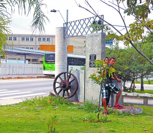 Maria Isabel Coelho