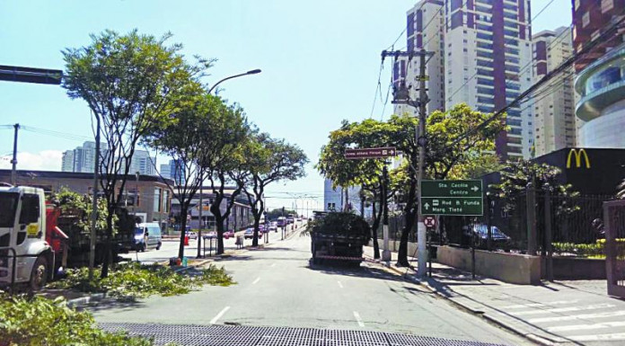 Divulgação