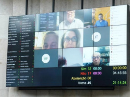 Afonso Braga/Rede Câmara