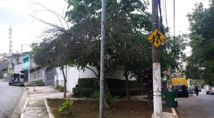 Divulgação