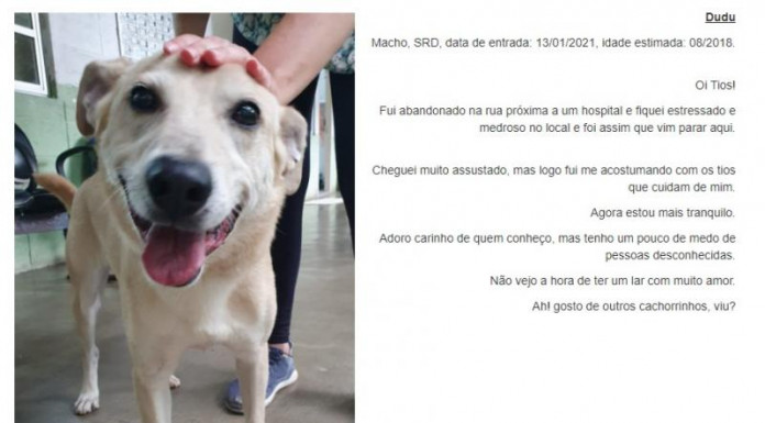 Reprodução