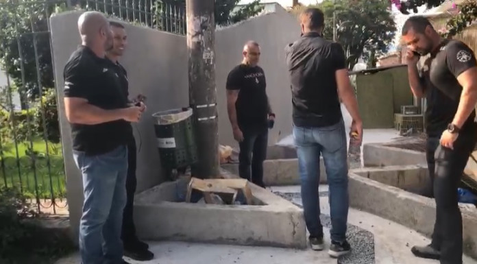 Reprodução