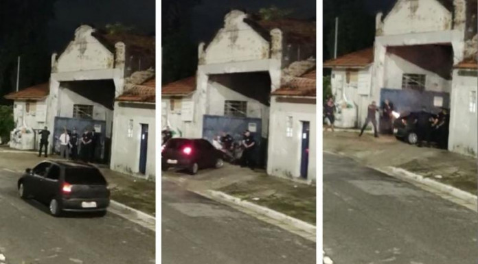 Reprodução