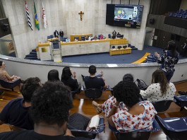 Afonso Braga/Rede Câmara