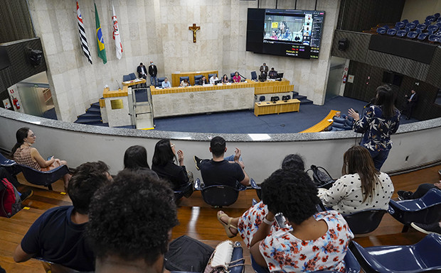 Afonso Braga/Rede Câmara