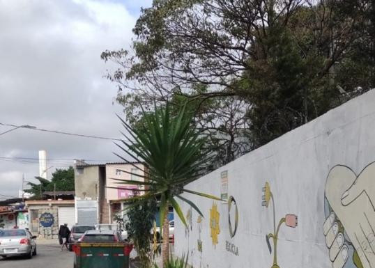 Reprodução