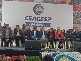 Lúcia Helena Oliveira