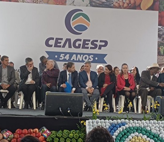 Lúcia Helena Oliveira