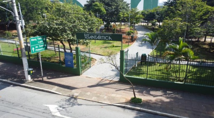 Divulgação