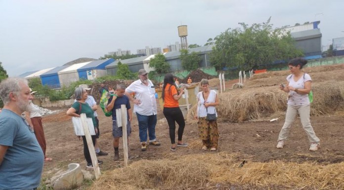 Divulgação
