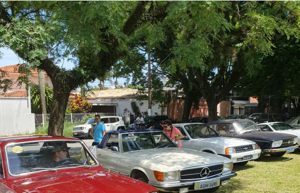 Divulgação