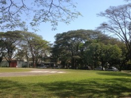 Divulgação