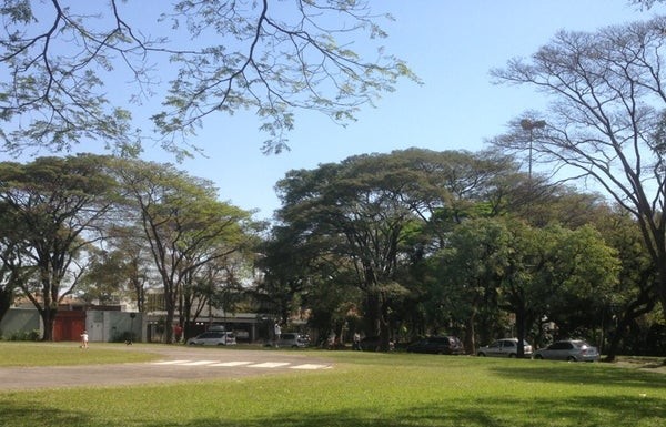 Divulgação
