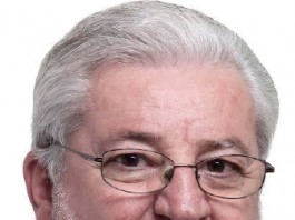 Nossas amigas, as árvores