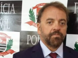 Divulgação