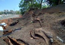 Peças de locomotivas do século XIX são encontradas em canteiro de obras da Ponte Pirituba