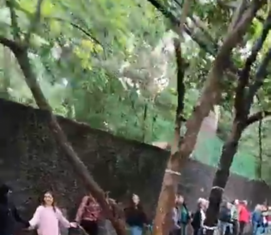 TJSP mantém tutela antecipada e rejeita embargo pedido pela Tegra no Bosque dos Salesianos