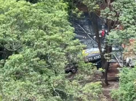 MP pede ao TJSP ‘tutela antecipada’ do Bosque dos Salesianos