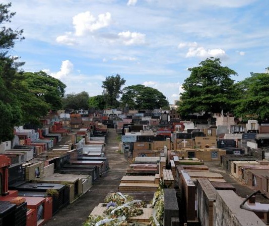 Grupo que administra Cemitério da Lapa tem recorde de autuações