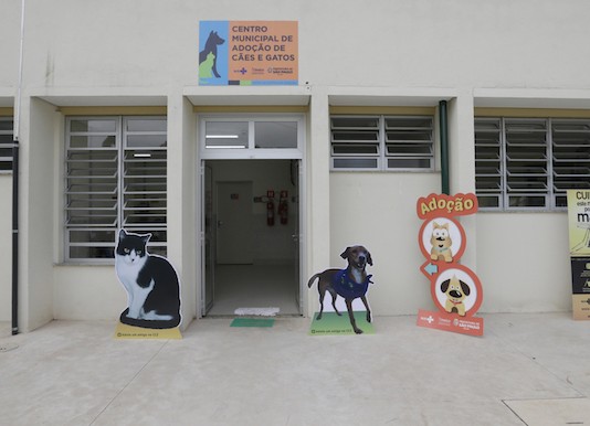 Município oferece serviços de adoção de cães e gatos