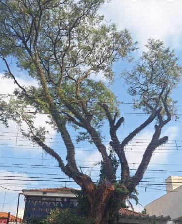 Moradores da Lapa reclamam de antigos problemas sem solução