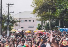 CARNAVAL:  Ainda dá tempo de cair na folia