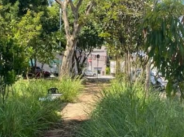 Praças e canteiros abandonados