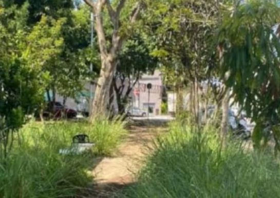 Praças e canteiros abandonados
