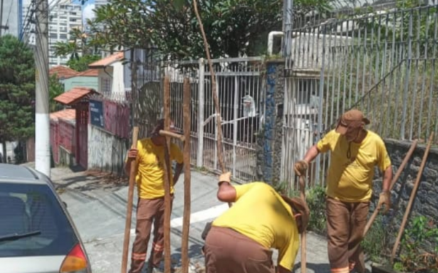 Abraço verde