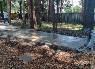 Reeleito, conselho do Parque Orlando Villas Bôas continua luta pela reabertura