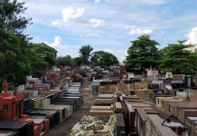 CEMITÉRIO DA LAPA: Grupo Maya promove visita com apoio de historiadora
