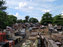 CEMITÉRIO DA LAPA: Grupo Maya promove visita com apoio de historiadora