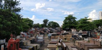 CEMITÉRIO DA LAPA: Grupo Maya promove visita com apoio de historiadora